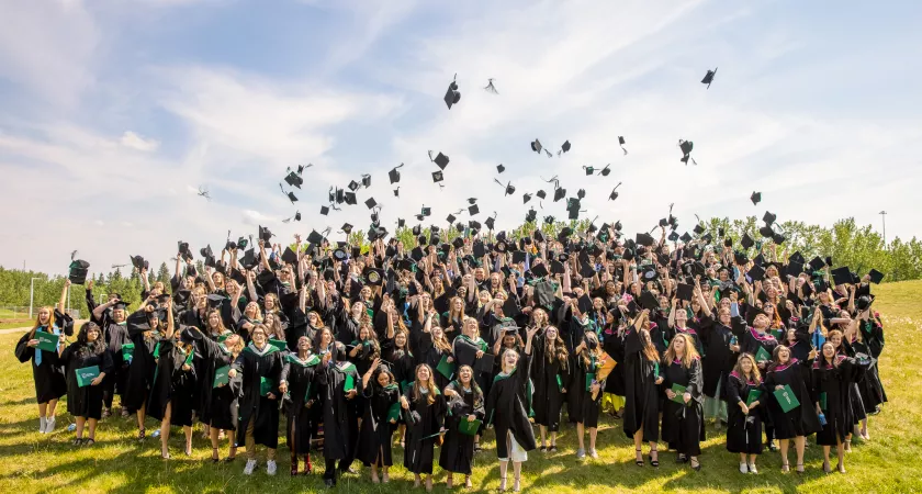 A large group of graduates stand on a sunny hill throwing their grad caps up in the air and cheering.