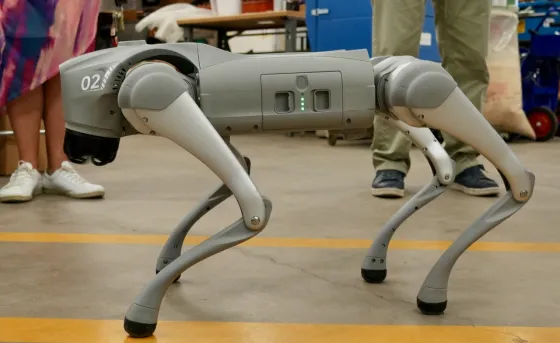 Dr. Woof, a grey robotic dog, stands on four legs in profile