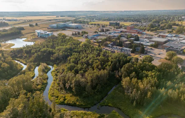 Aerial view of RDP's main campus. Features a winding creek, lush green trees, and the school buildings