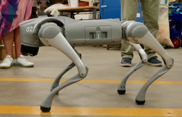 Dr. Woof, a grey robotic dog, stands on four legs in profile
