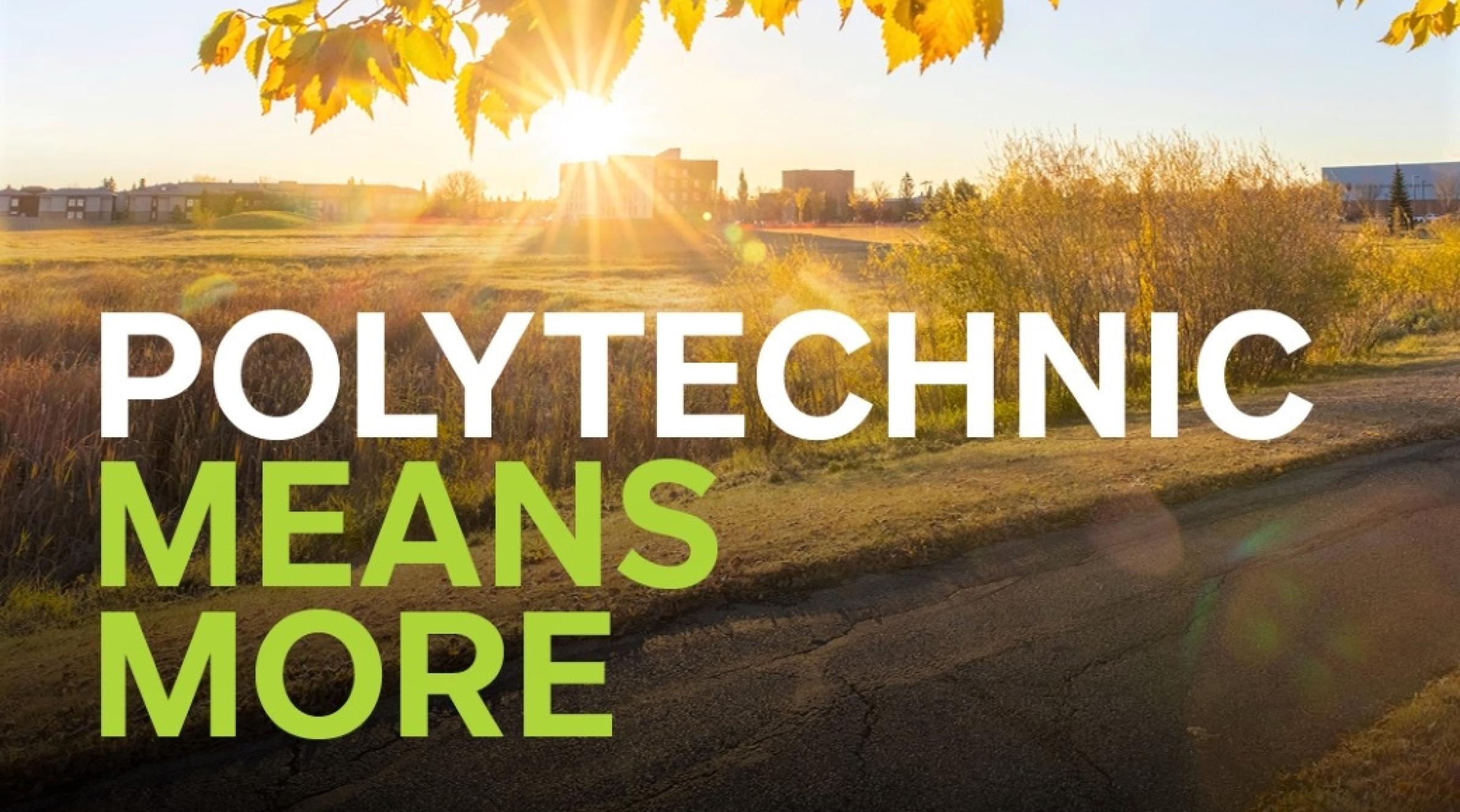 Polytechnic Means More campaign