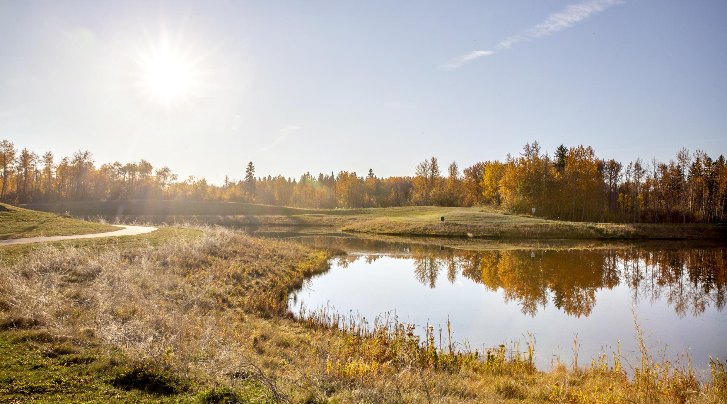 sun shining over pond on a fall day