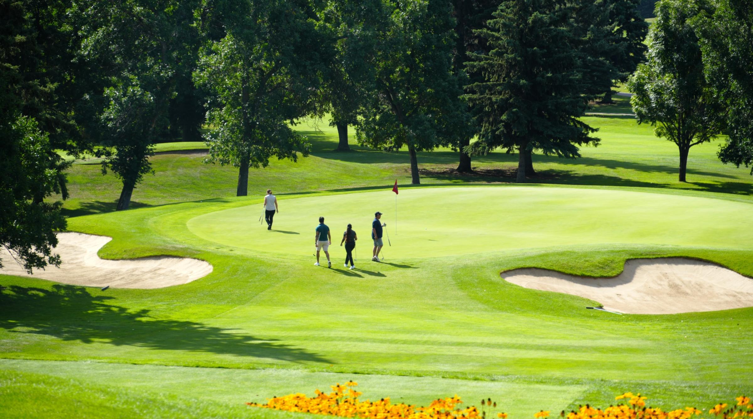 A long shot of a group walking onto a manicured green of a golf course. There are yellow flowers in the foreground