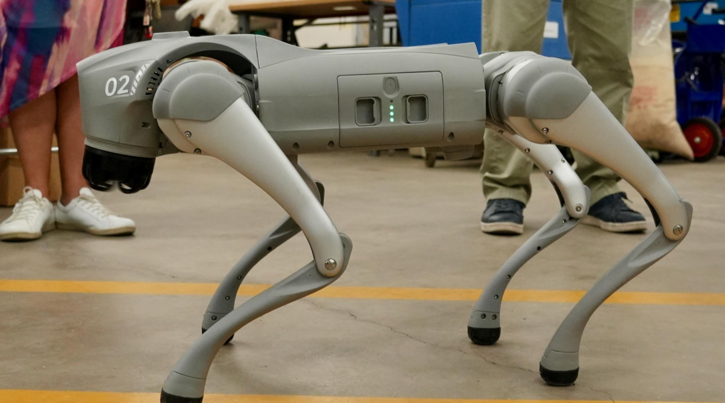 Dr. Woof, a grey robotic dog, stands on four legs in profile