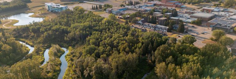 Aerial view of RDP's main campus. Features a winding creek, lush green trees, and the school buildings